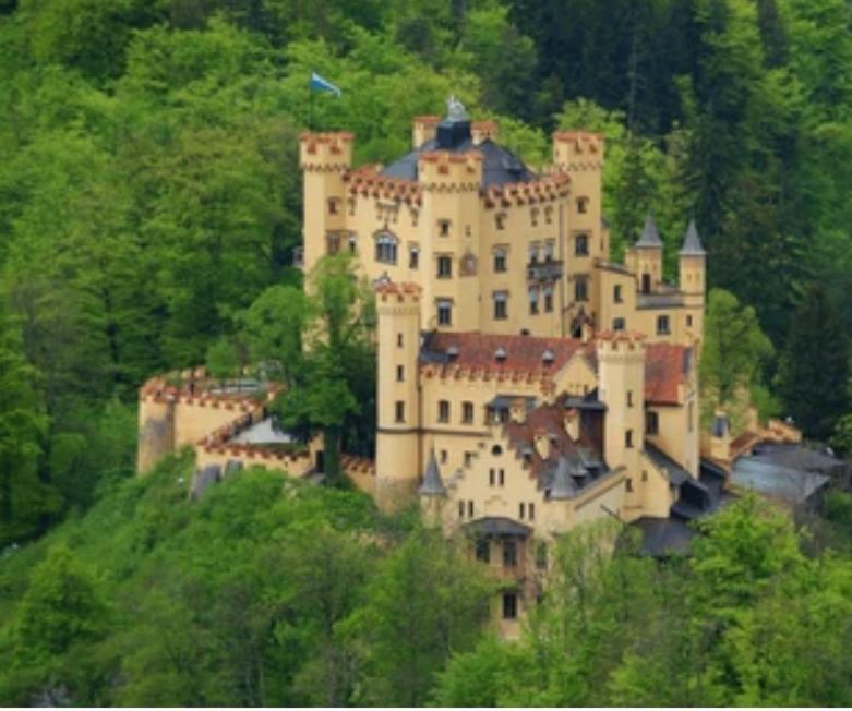 Ferienwohnung Weber Alpenveilchen 莱希布鲁克 外观 照片