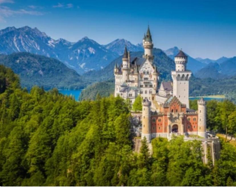 Ferienwohnung Weber Alpenveilchen 莱希布鲁克 外观 照片
